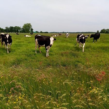 Fewo Unner'D Kastanje Moormerland Zewnętrze zdjęcie