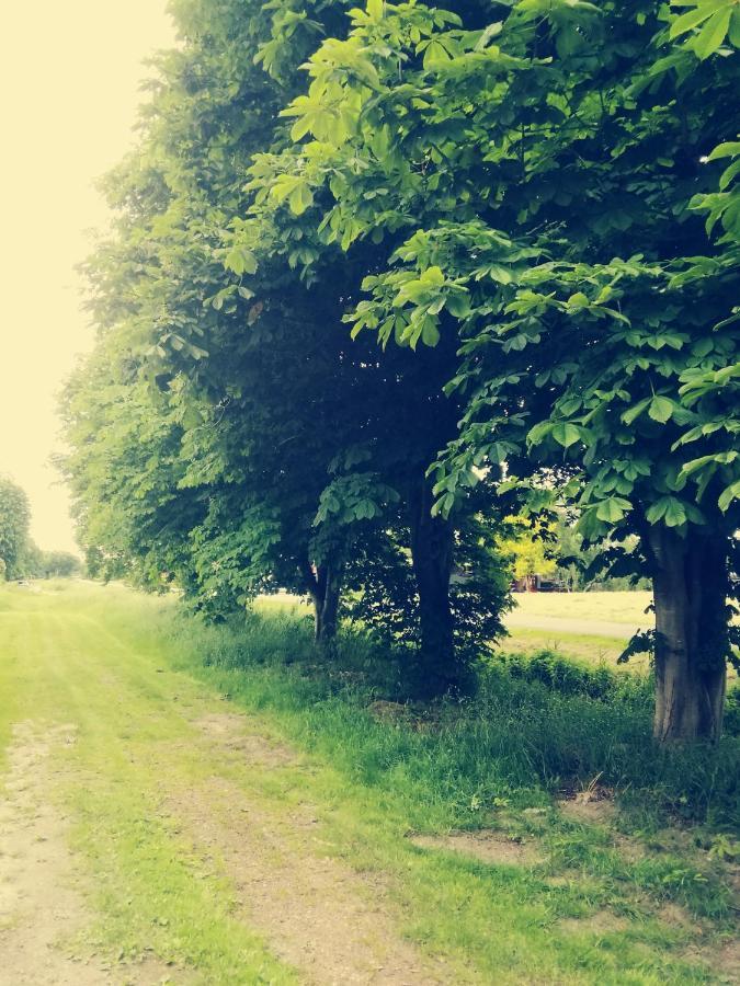 Fewo Unner'D Kastanje Moormerland Zewnętrze zdjęcie