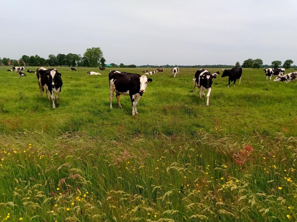 Fewo Unner'D Kastanje Moormerland Zewnętrze zdjęcie