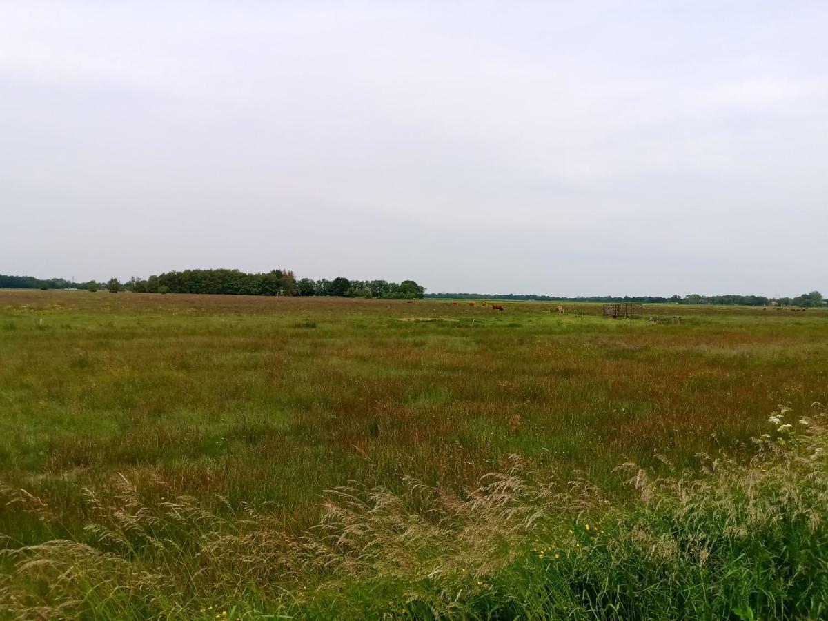 Fewo Unner'D Kastanje Moormerland Zewnętrze zdjęcie